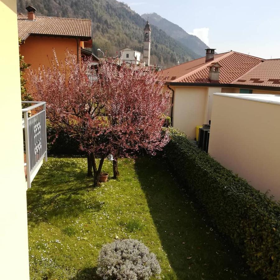 La Moia Bed & Breakfast Cerete Dış mekan fotoğraf