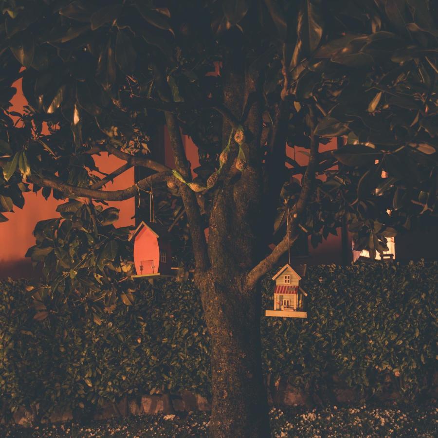 La Moia Bed & Breakfast Cerete Dış mekan fotoğraf